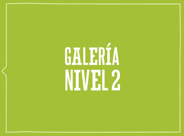 galeria_nivel_2