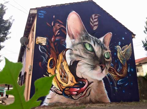 foto de mural de gato