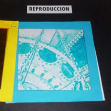 Trabajo de Cuatricromia