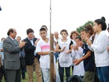 arbol6