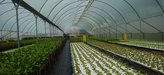 Fotografía de Quienes somos?