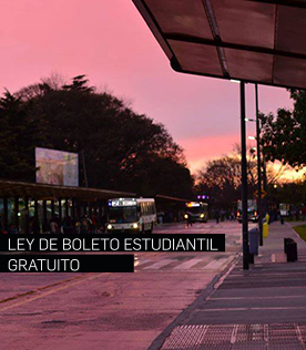 paradacolestivosenfadu