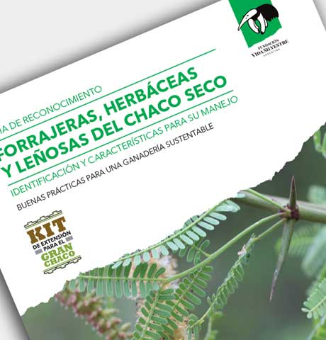 Descripción del proyecto