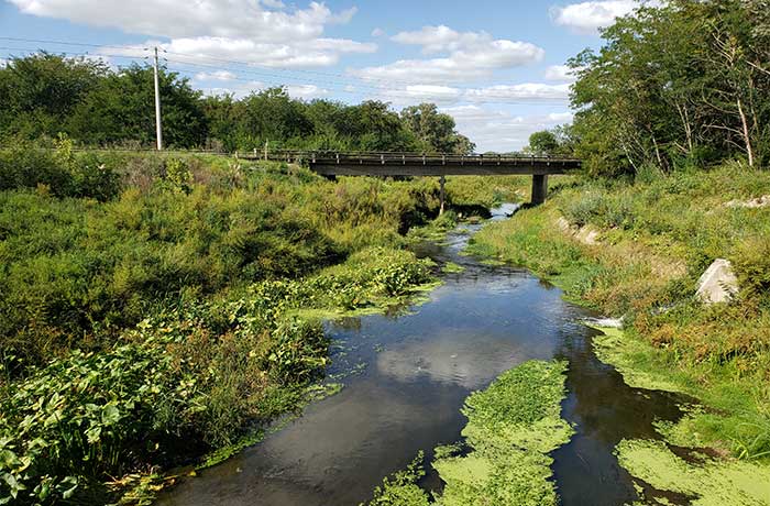 Imagen de sendero para hacer caminatas