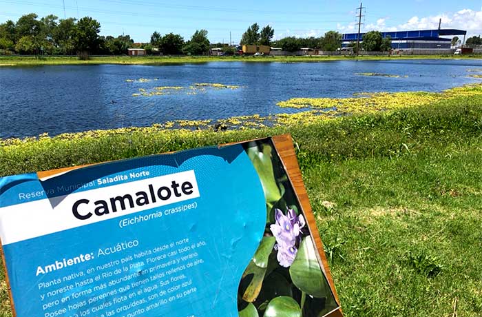 Imagen de sendero pedestre para paseo familiar