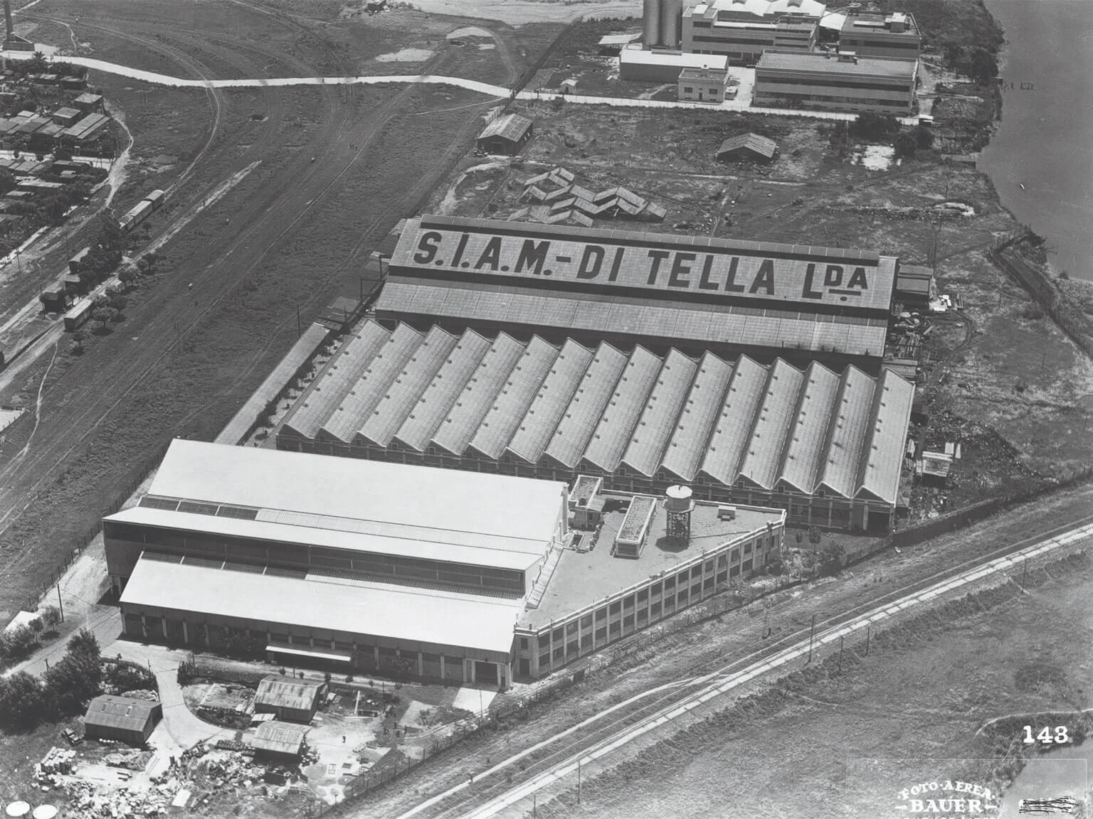 imagen de la planta Siam desde una vista cenital
