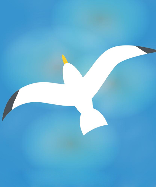 juan salvador gaviota