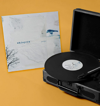 Diseño Vinilo