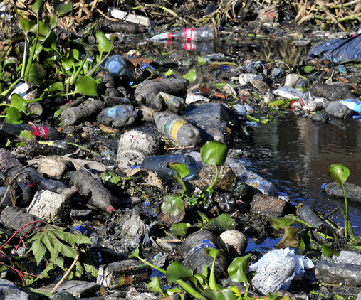 DGPC - Diseño Gráfico por Computación