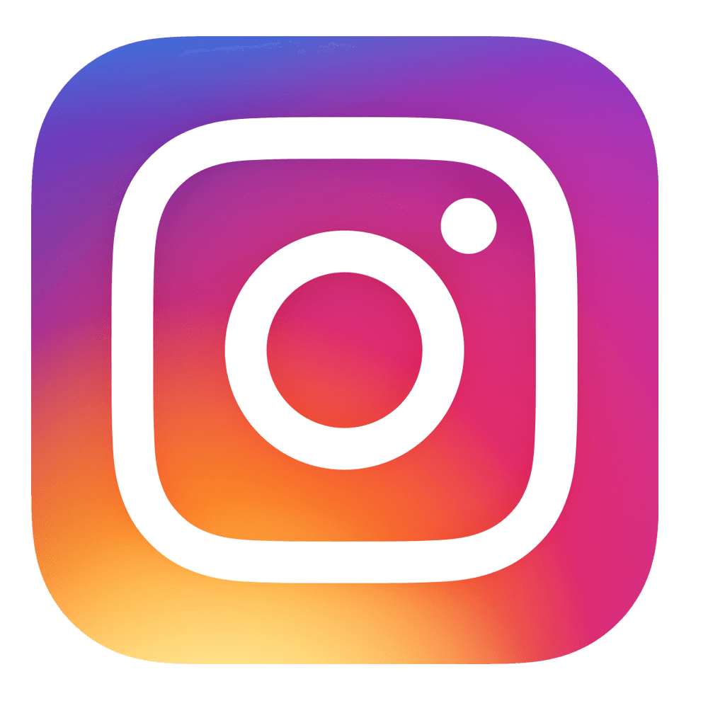 LOGO INSTA
