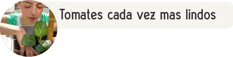 usuario