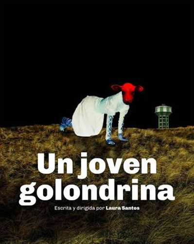poster-obra-teatro-un-joven-golondrina