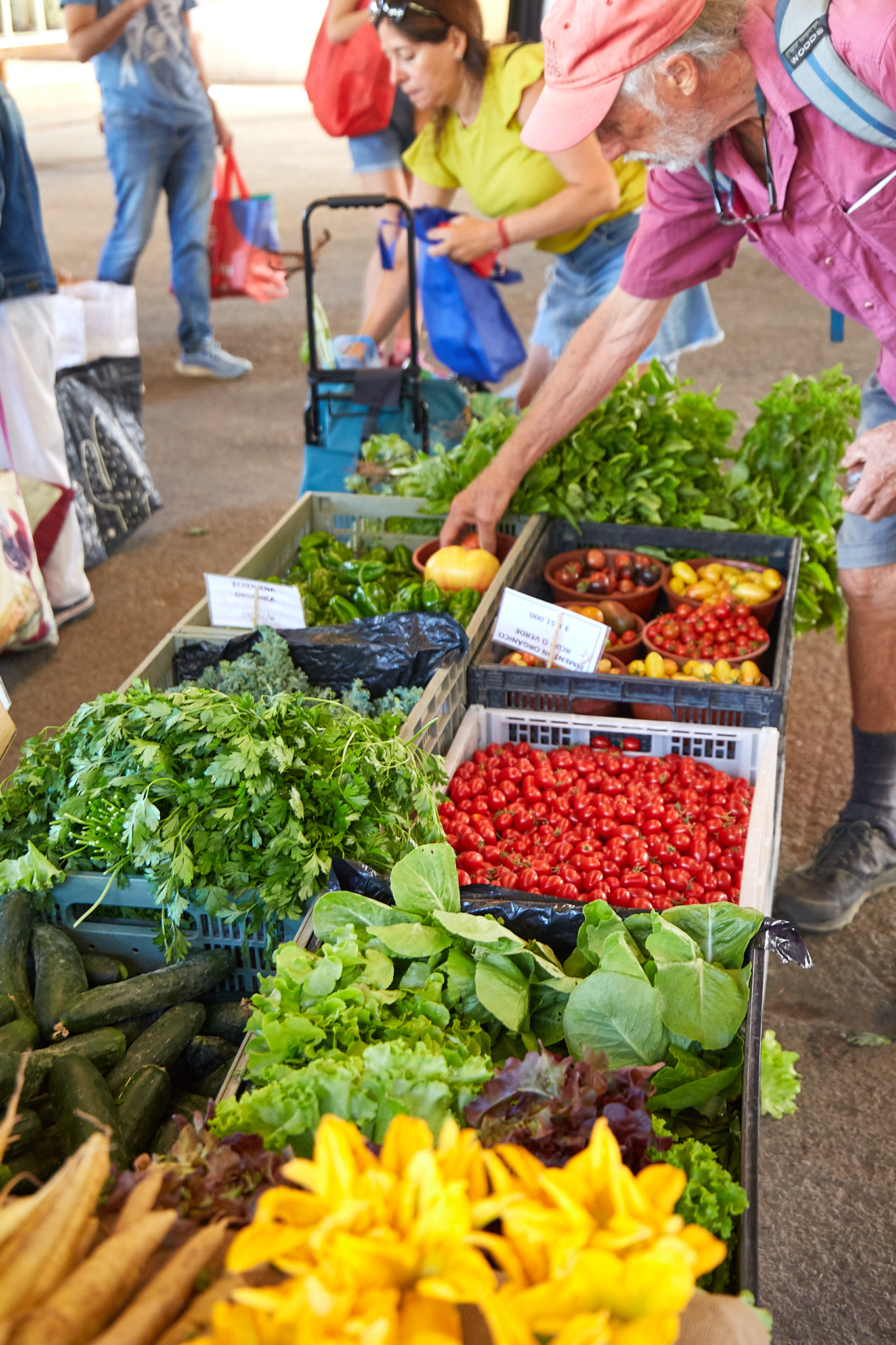 Feria Orgánica San Isidro