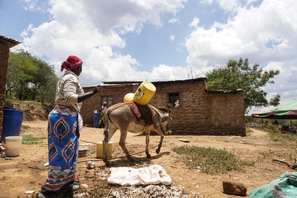 Feria agroecológica en Córdoba