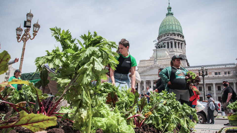 Vecinos comprando productos frescos