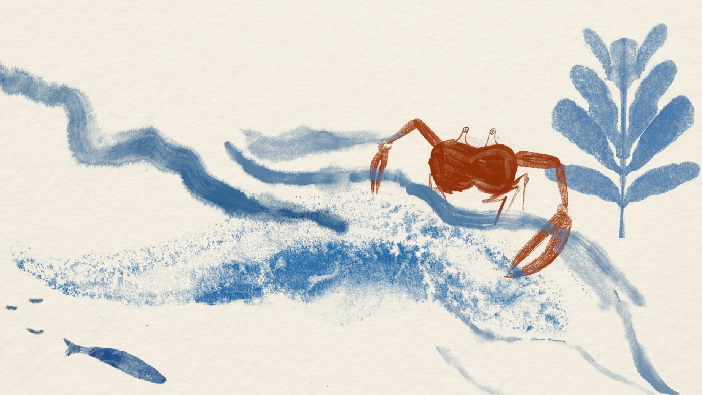 Portada de película: Agua