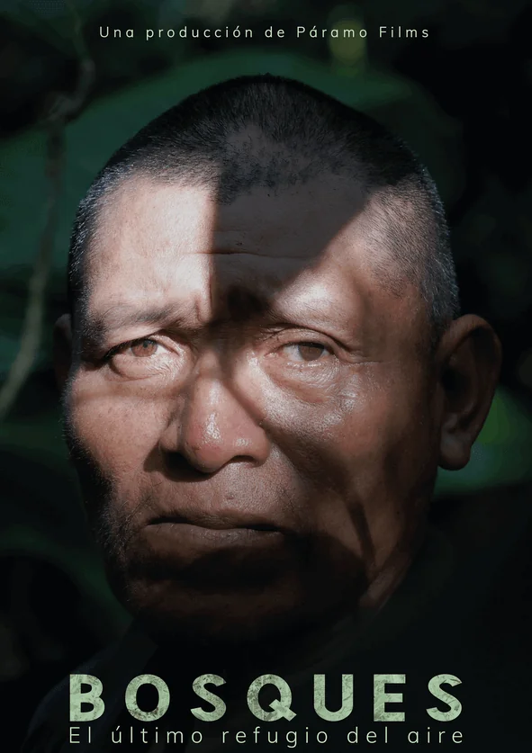 Afiche de pelicula: El último refugio del aire