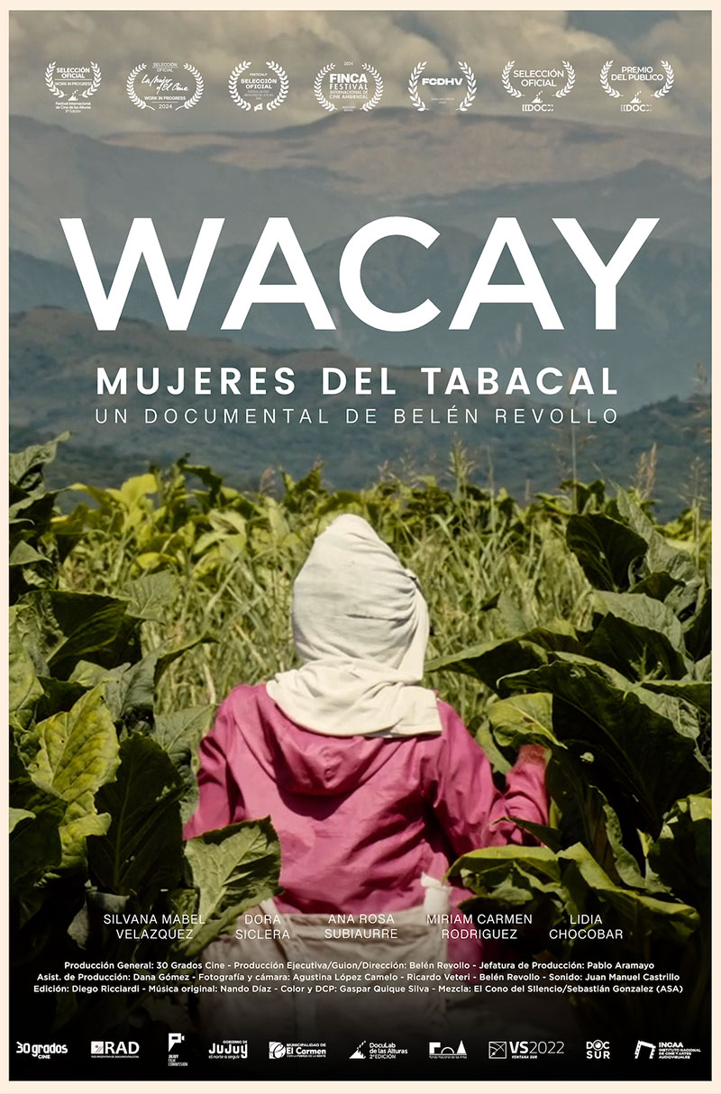 Afiche de pelicula: Wacay, mujeres del tabacal