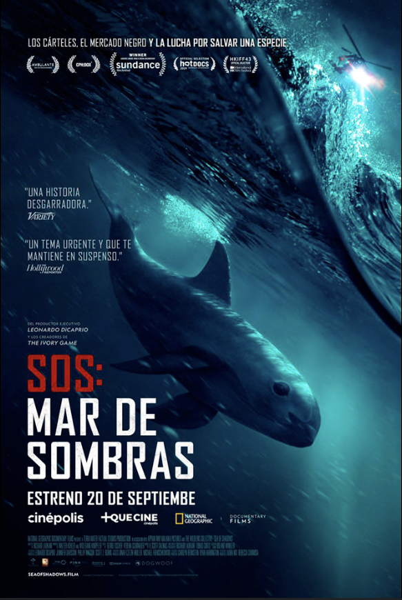 SOS: mar de sombras