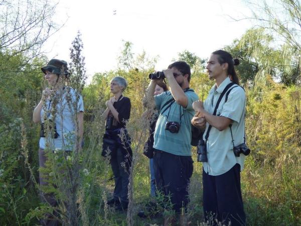 Voluntariado ambiental
