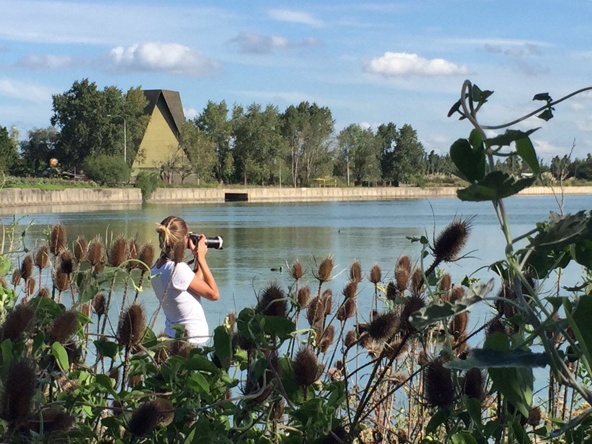 Humedal en Lago Lugano