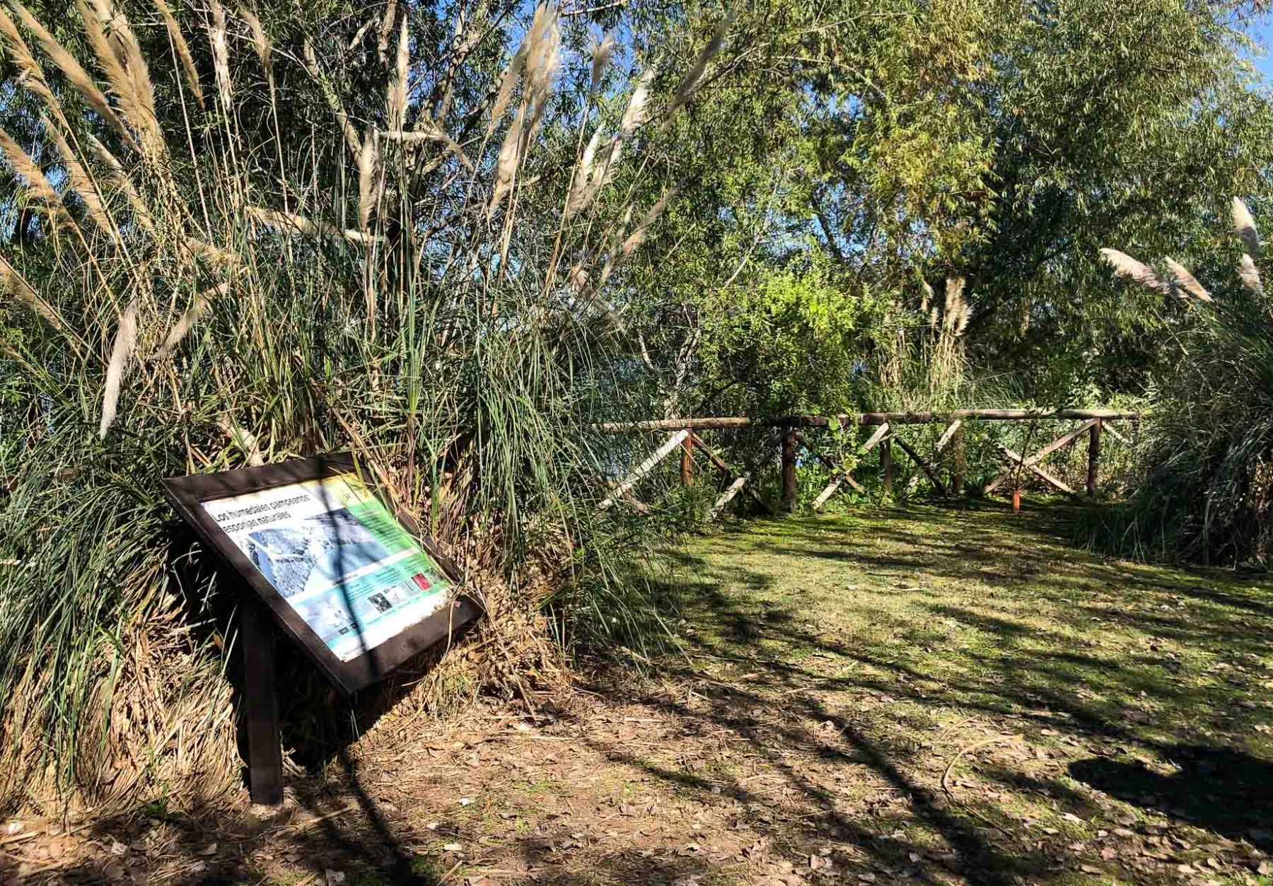 Cartel informativo entre juncos
