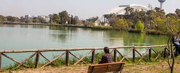 Colabora en nuestra reserva